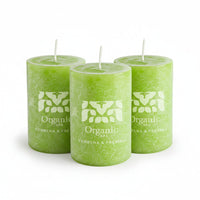 PACK VELA 6X10 x3 VERBENA & FRESIAS
